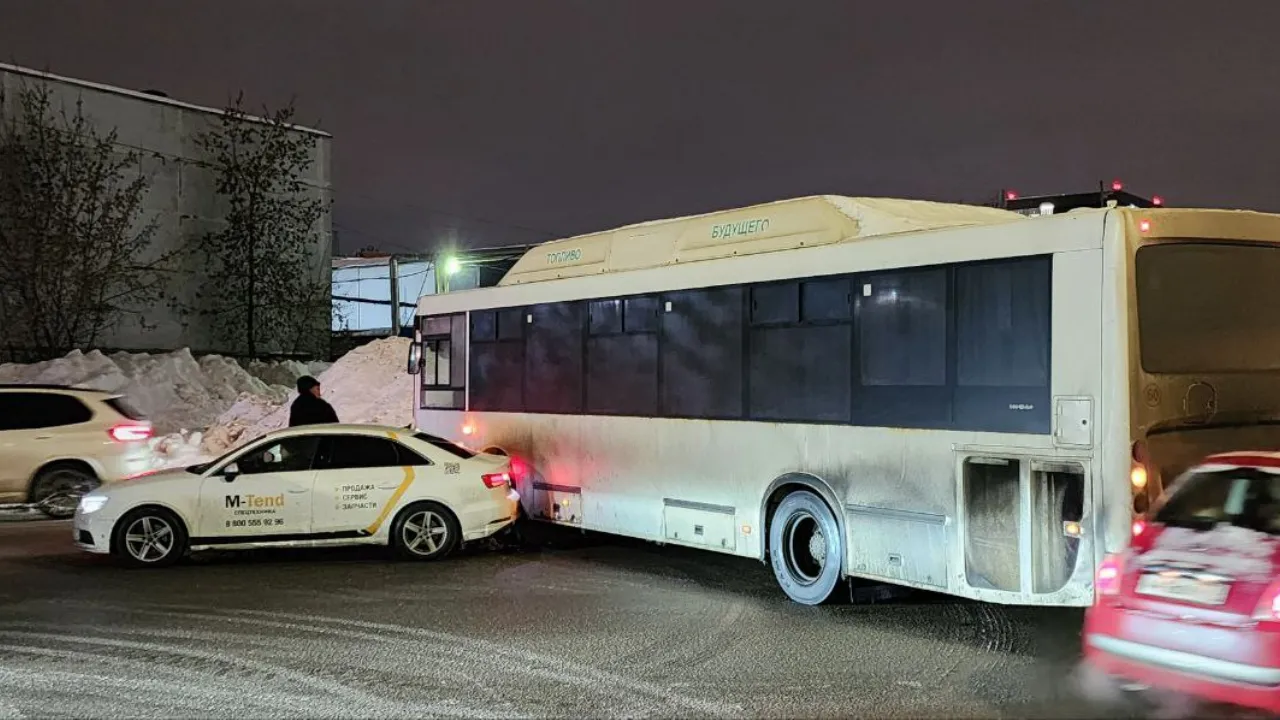 МедиаБанк Подмосковья/ Максим Сафронов