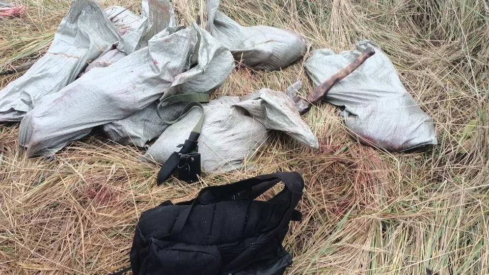 Фото: Комитет лесного хозяйства Московской области