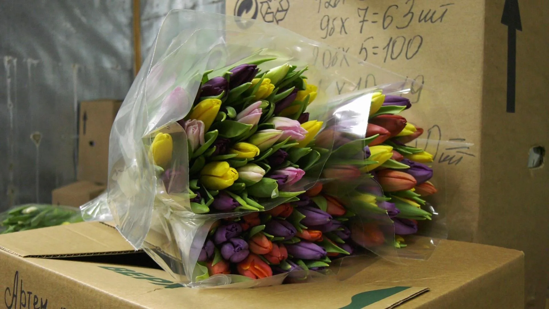 МедиаБанк Подмосковья/Юлия Андросова