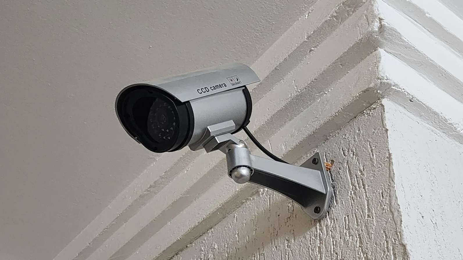 МедиаБанк Подмосковья/Максим Сафронов