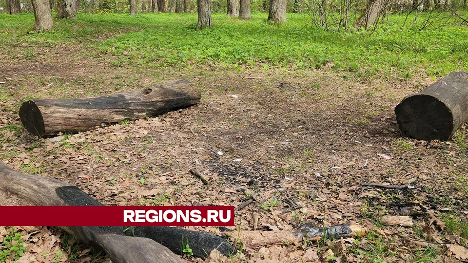 Фото: Андрей Семибратов