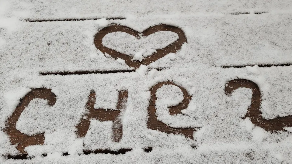 Фото: МедиаБанк Подмосковья/Валерия Тингаева