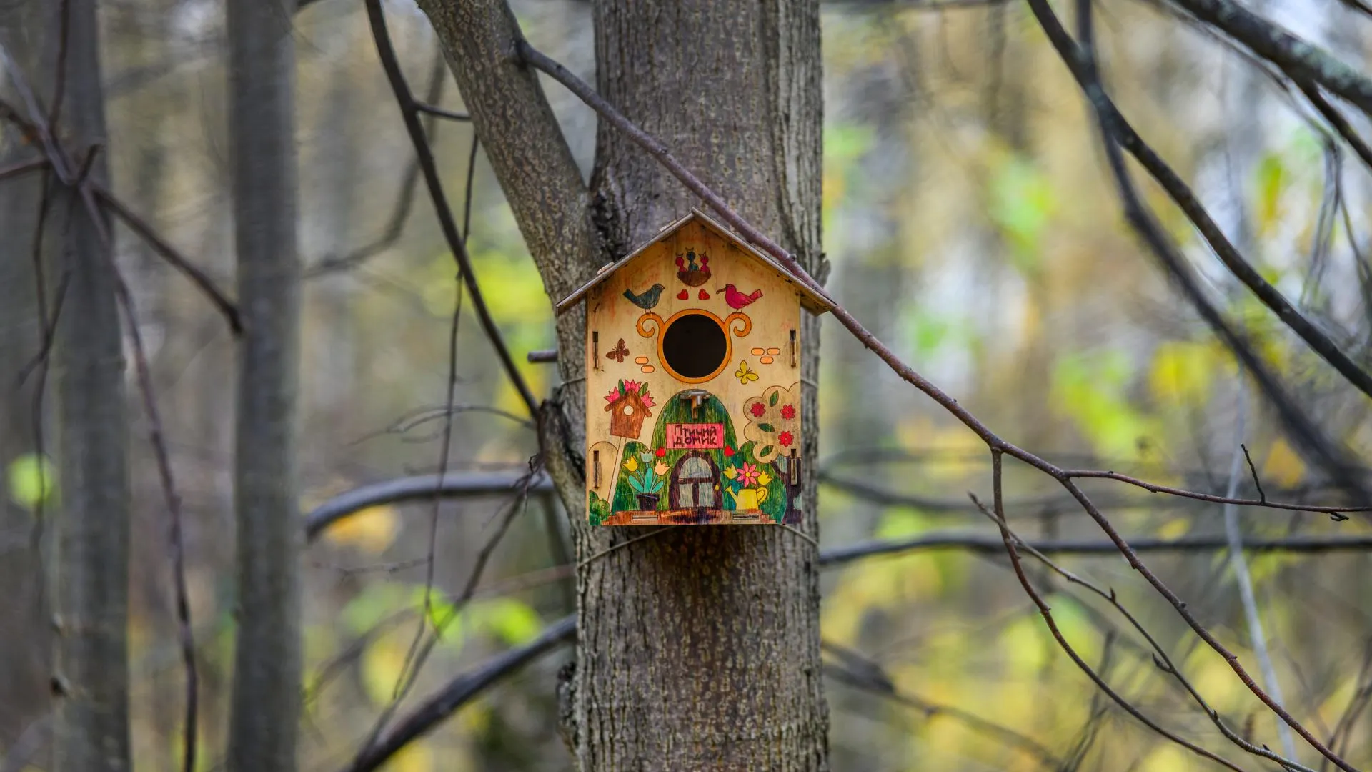 медиасток.рф