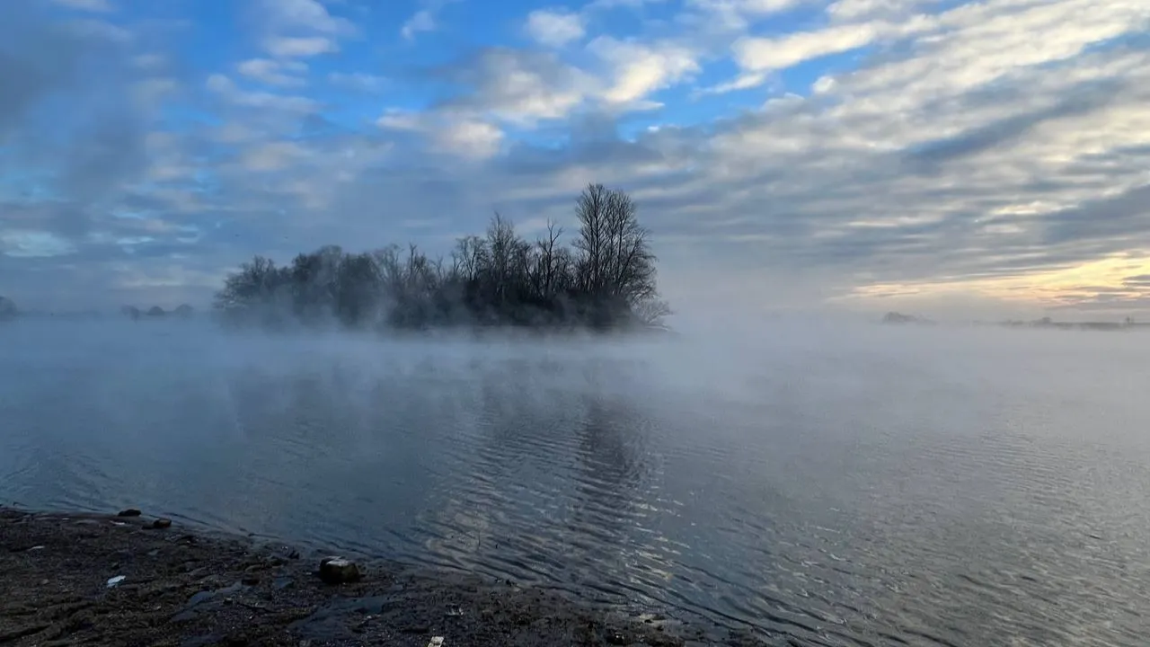 REGIONS/Елена Фурман