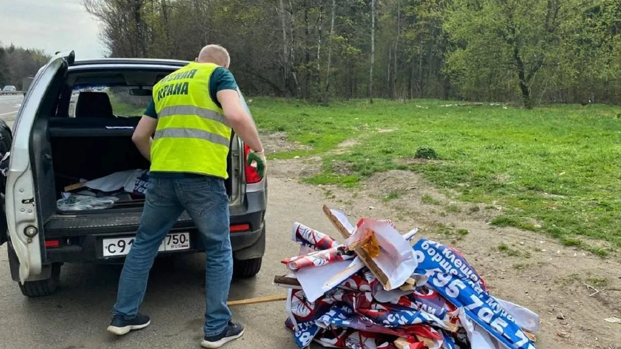 Свыше двух тысяч незаконных рекламных табличек демонтировали в лесах Подмосковья в этом году