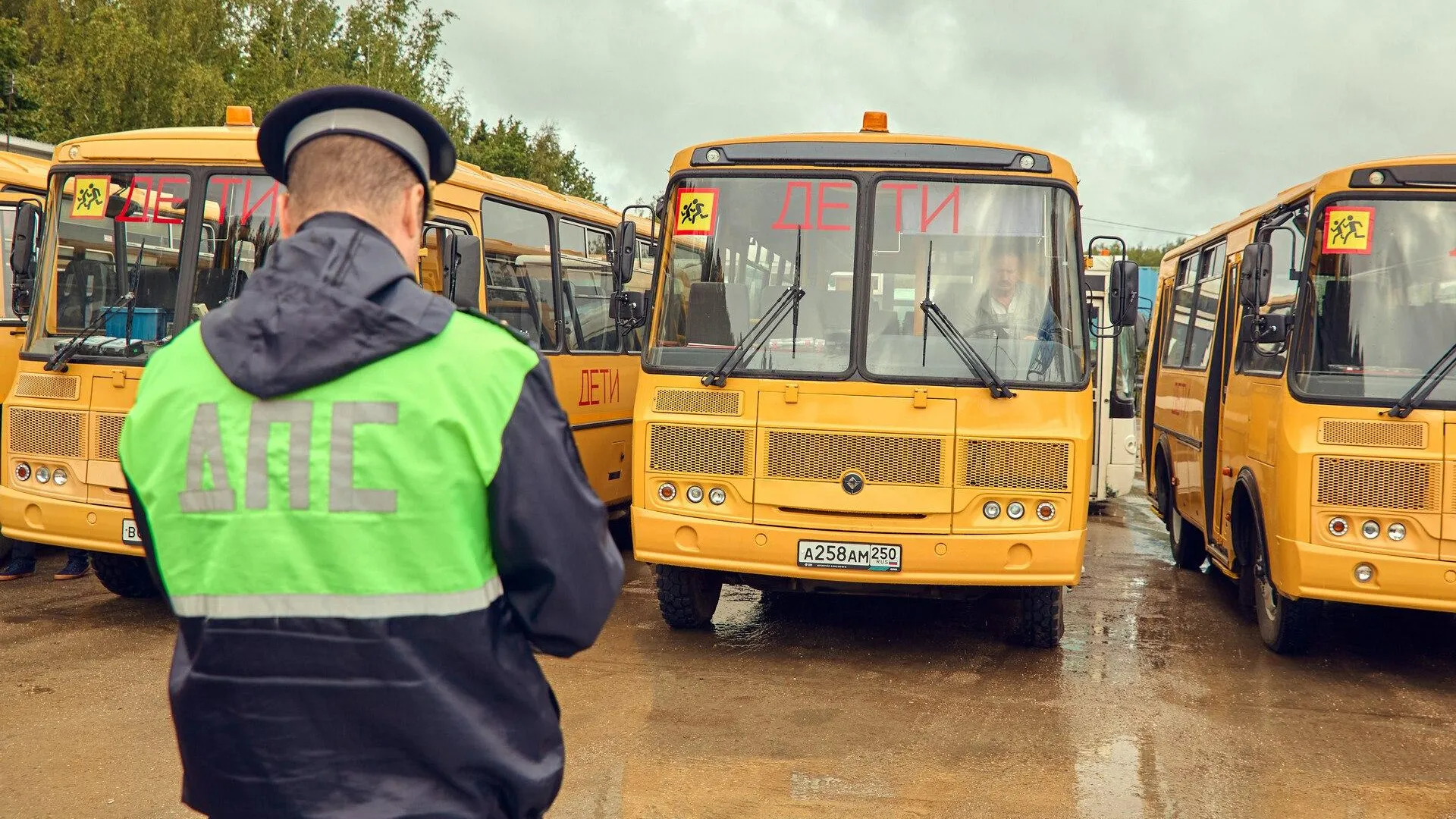 Фото: пресс-служба администрации г.о. Солнечногорск