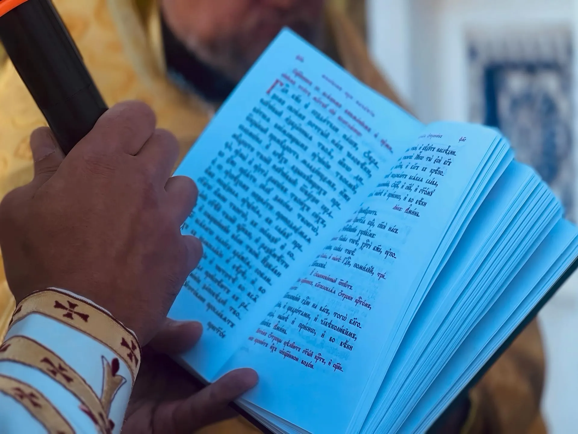 Фото: Ольга Стаферова