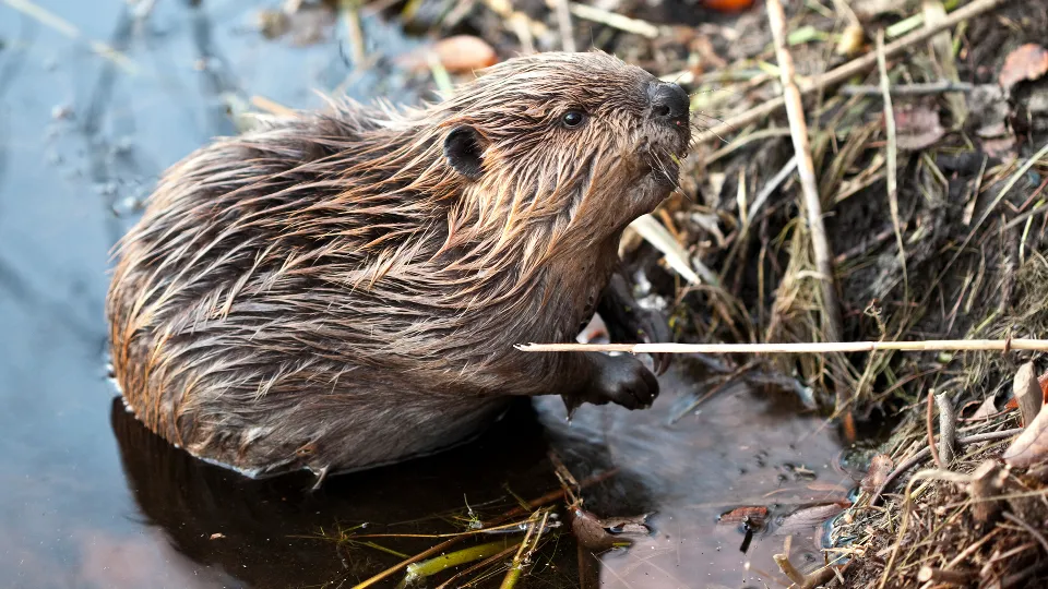 Фото: istockphoto.com