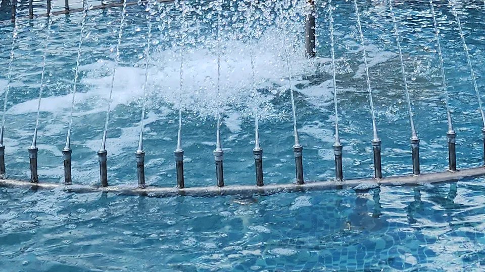 Фото: МедиаБанк Подмосковья/Иван Петрушин