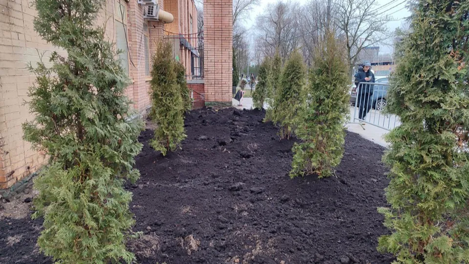 Фото: администрация г.о. Реутов