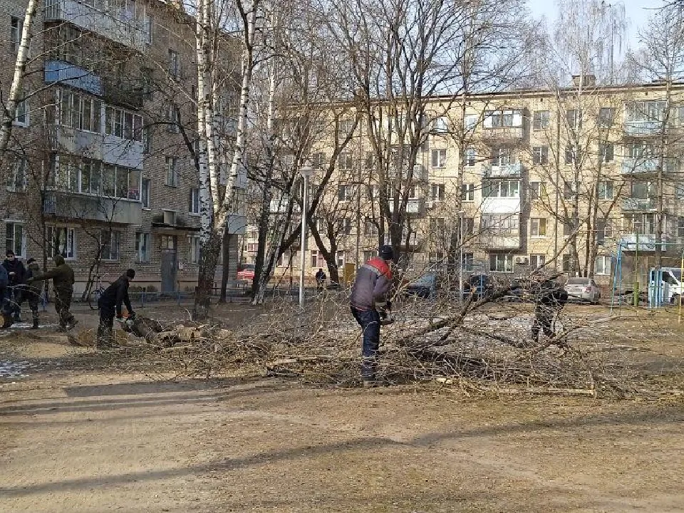 Фото: пресс-служба администрации г.о. Дубна