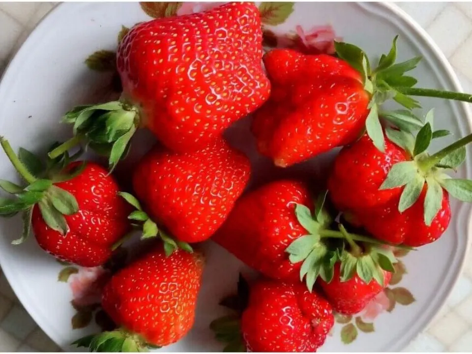 Фото: REGIONS/Людмила Матвиенко