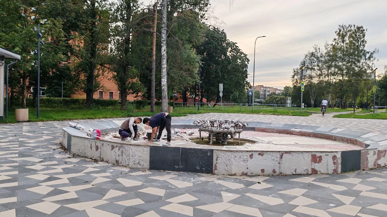 Фото: пресс-служба главы г. о. Черноголовка