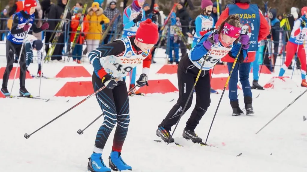 Фото: пресс-служба администрации г.о. Красногорск