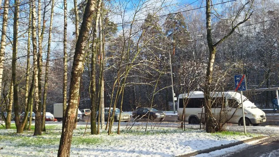 Автор: REGIONS/Катерина Антохина