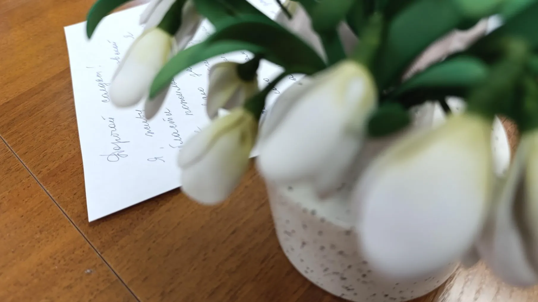 Фото: Ольга Антонова