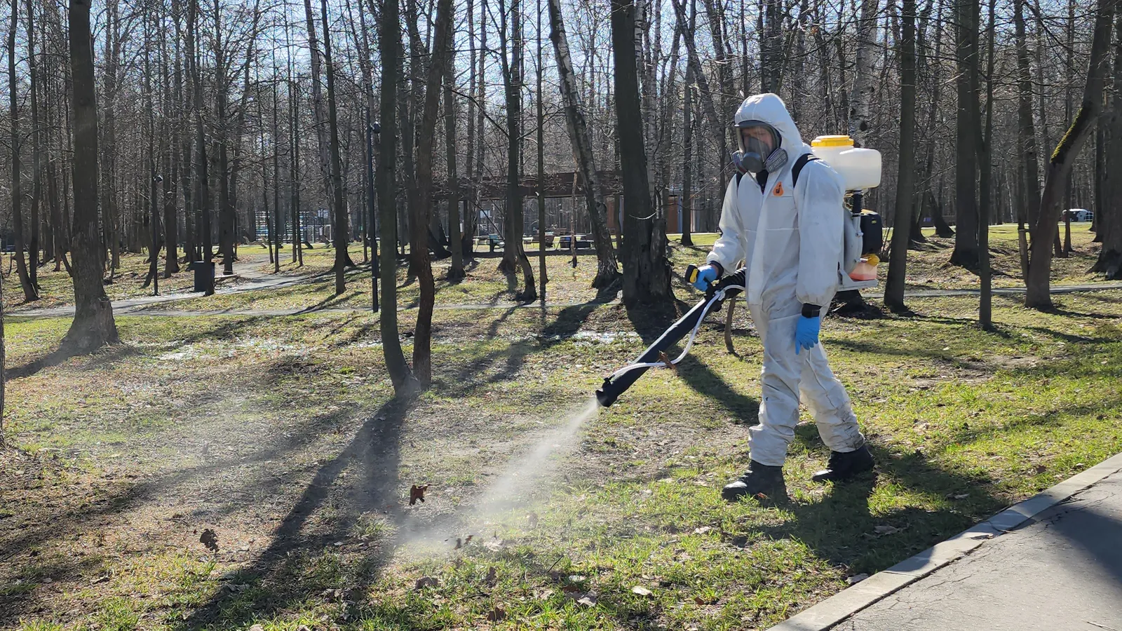 Фото: Андрей Семибратов