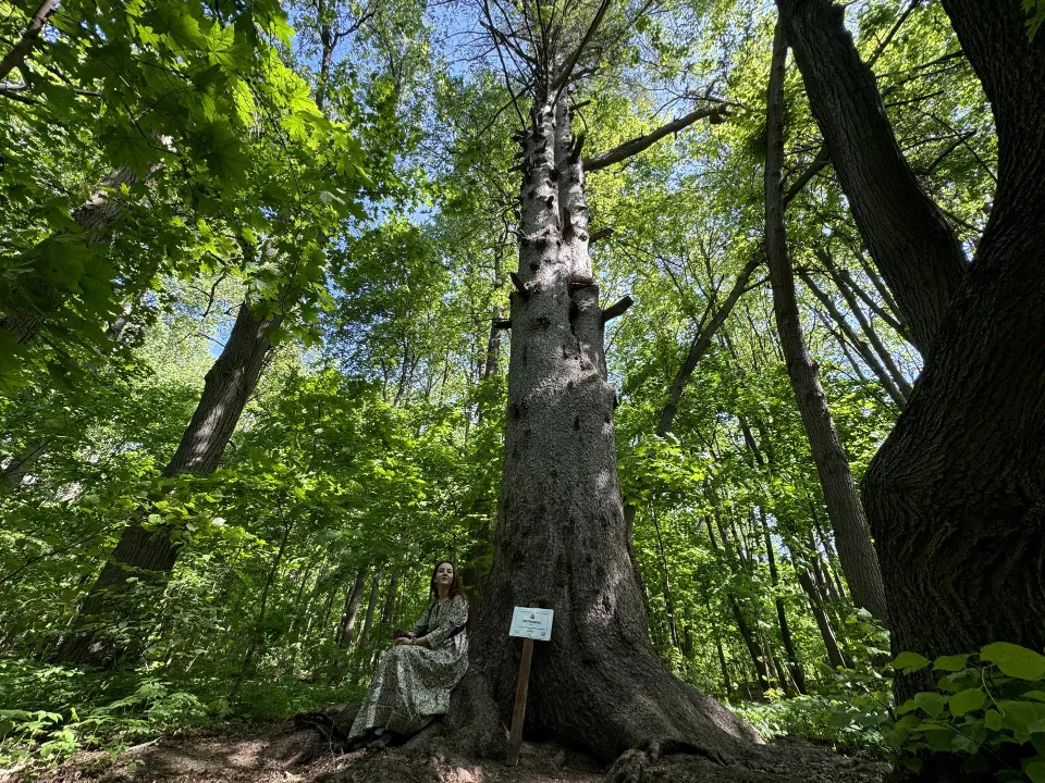 Фото: Полина Абраменко