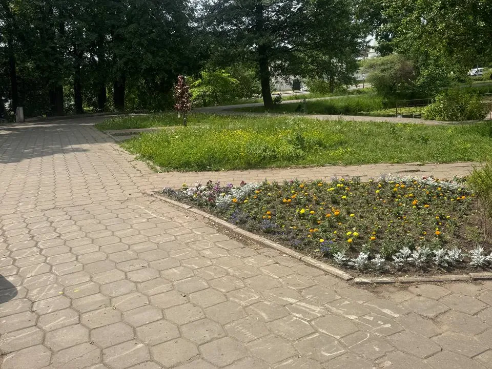 Фото: Михаил Моисеев