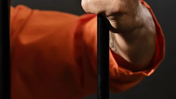 Фото: freepik.com / Ранее задержанного подозреваемого, взяли под стражу