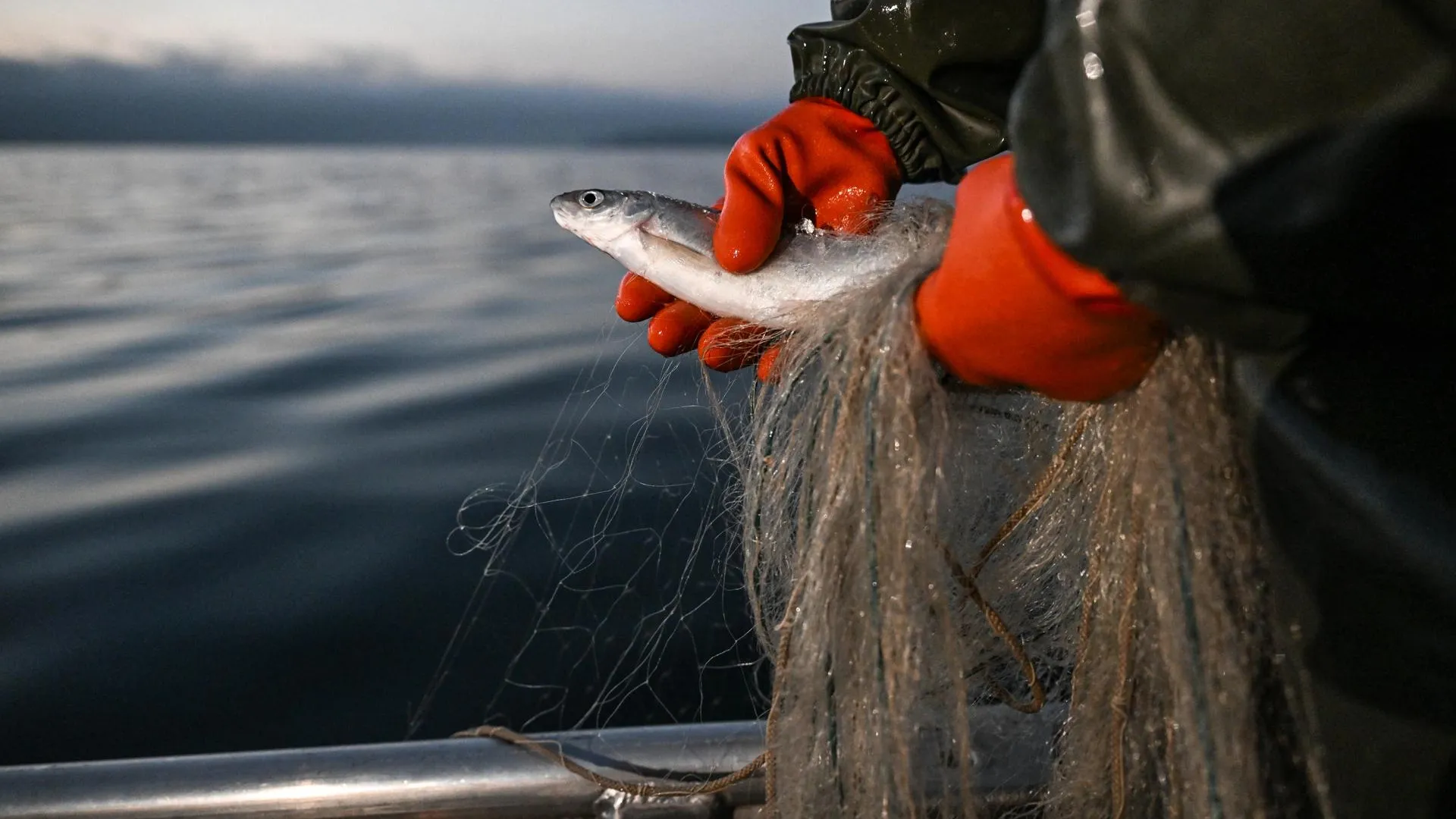 Felix KÃ�stle/dpa