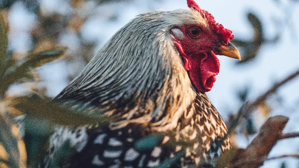 Фото: freepik.com