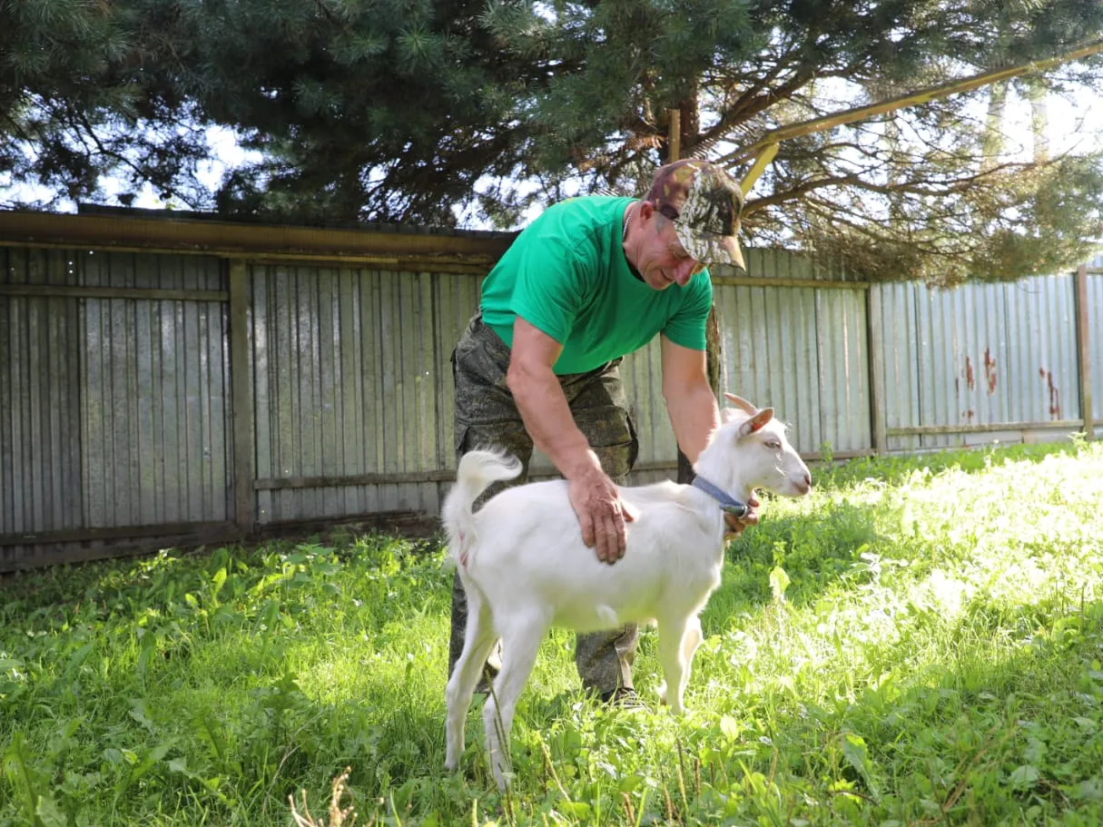 Фото: пресс-служба администрации Наро-Фоминского г.о.&nbsp; &nbsp; &nbsp; &nbsp; &nbsp;