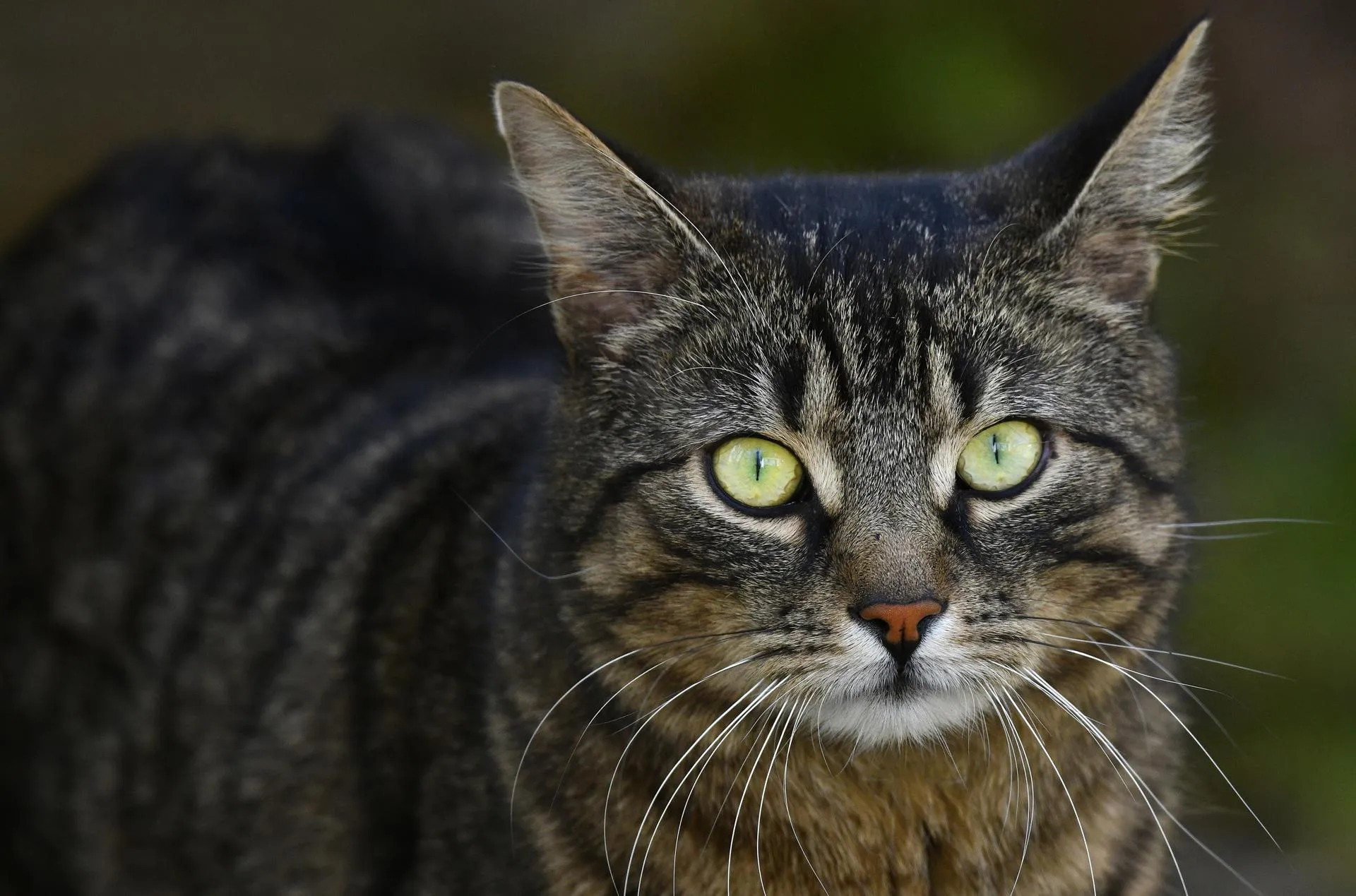 Michael Weber/http://imagebroker.com/#/search