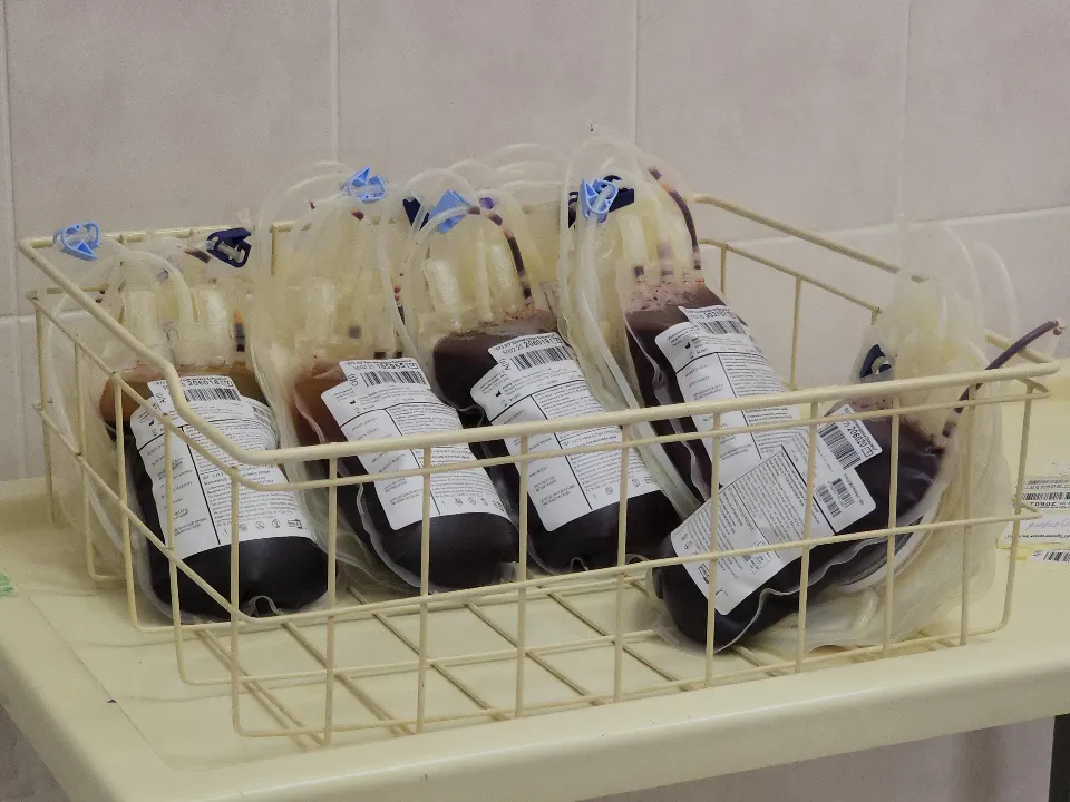 Фото: МедиаБанк Подмосковья/Артем Мишуков