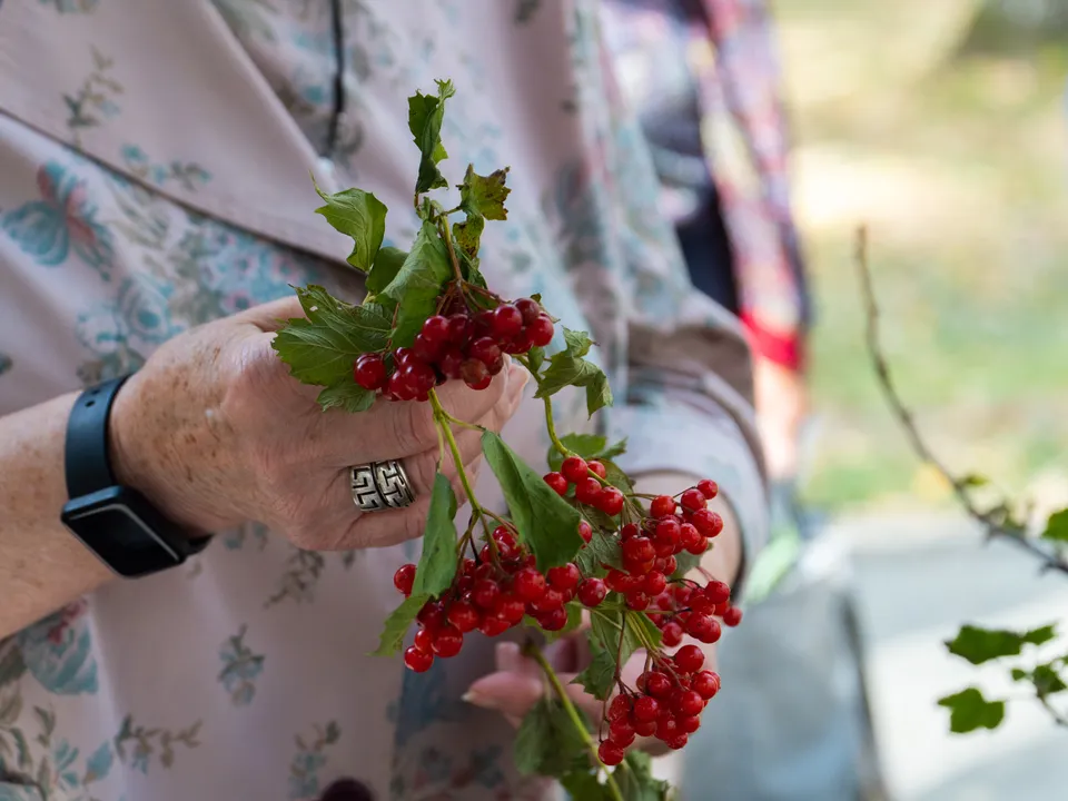 Фото: REGIONS/Наталия Надточая