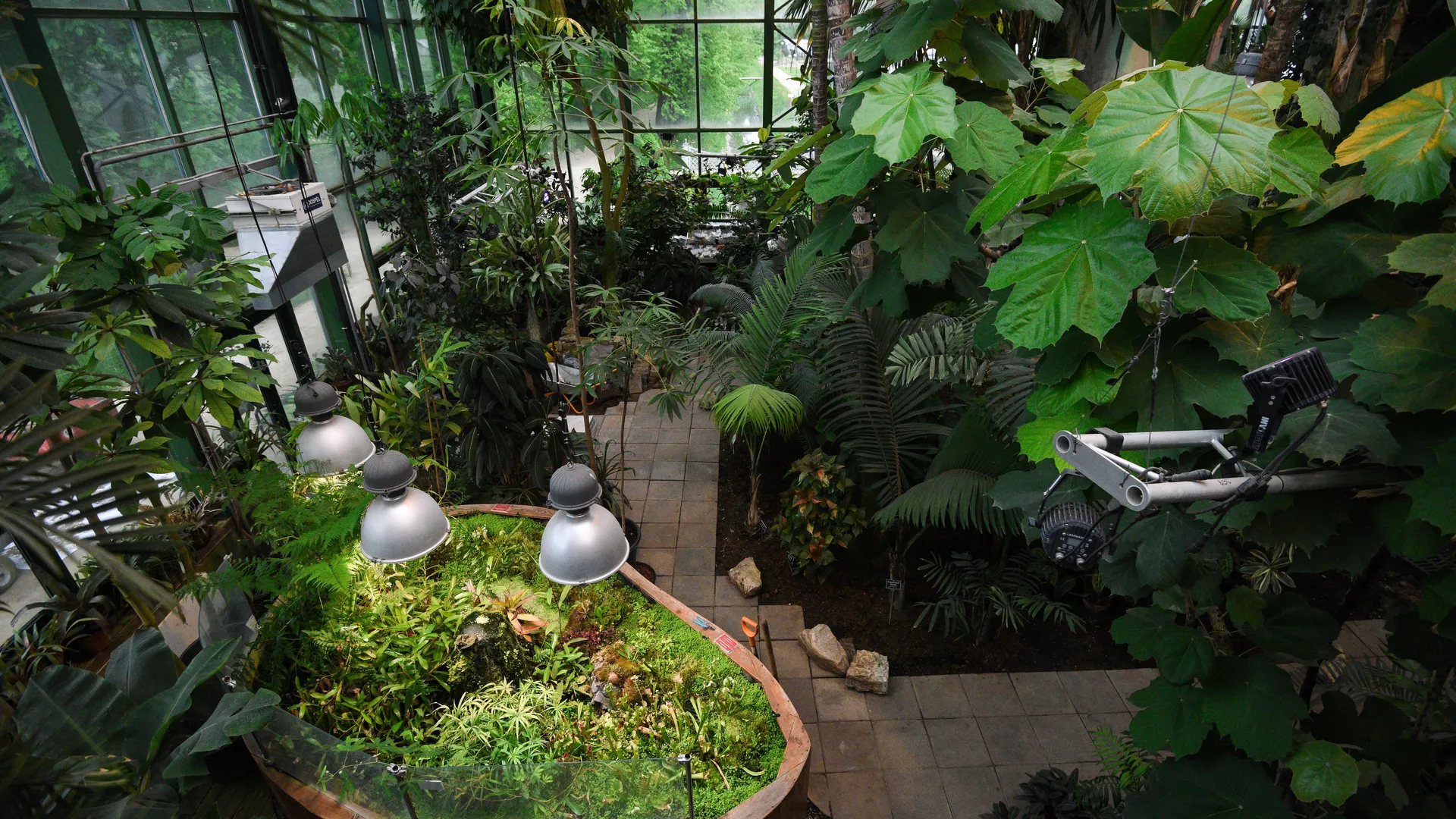 медиасток.рф