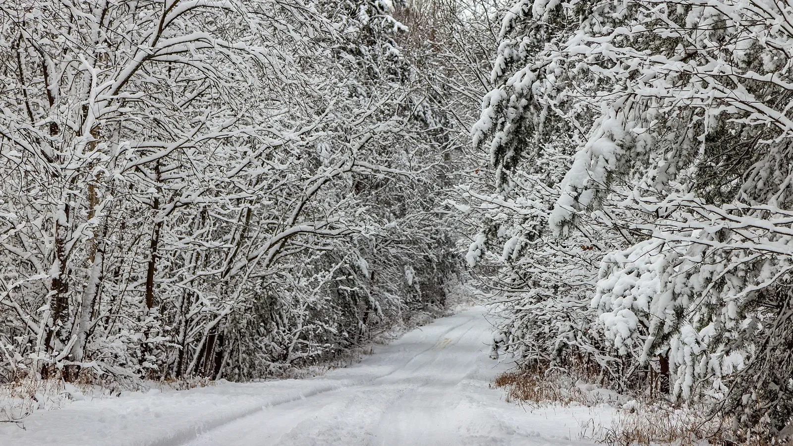 Фото: Антон Кондратюк