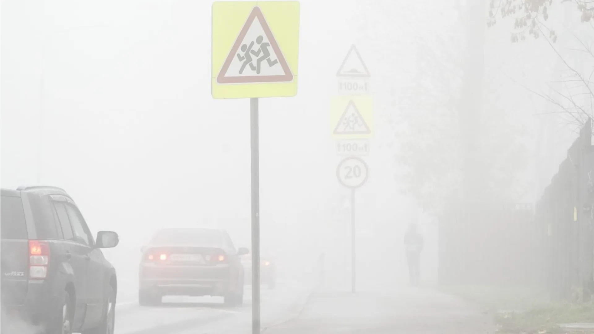 Фото: медиасток.рф