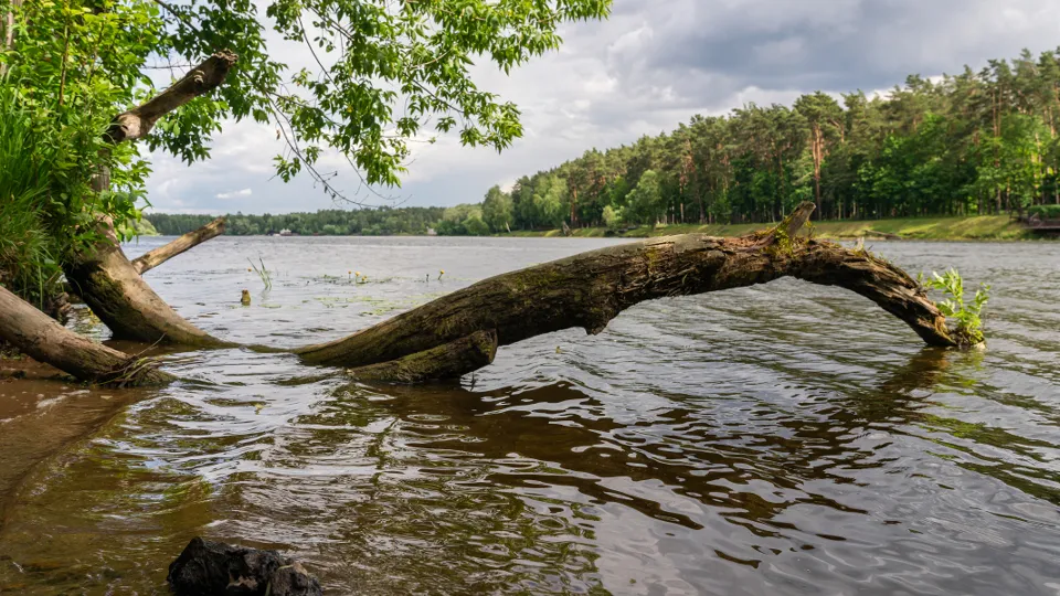 Фото: медиасток.рф