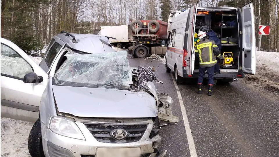 Фото: пресс-служба ГКУ МО «Мособлпожспас»