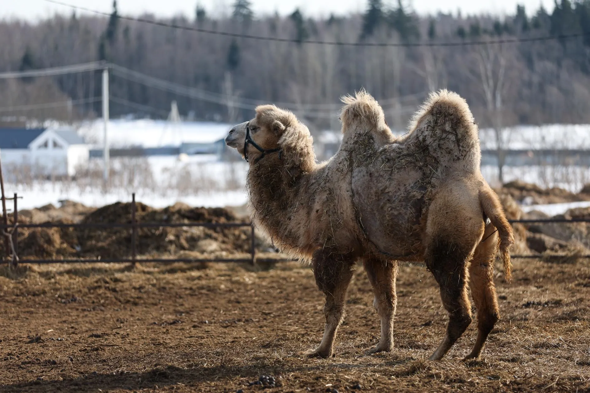 Belkin Alexey/news.ru