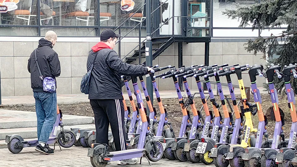 Фото: МедиаБанк Подмосковья/Елена Катасонова