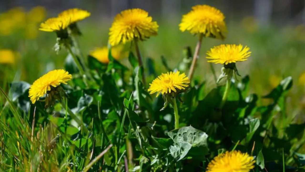 Фото: freepik.com