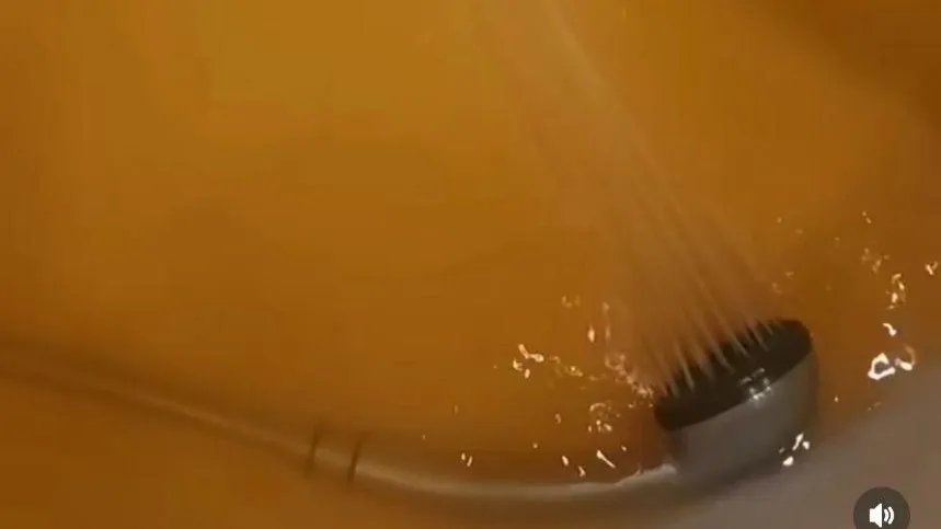 Фото: социальные сети