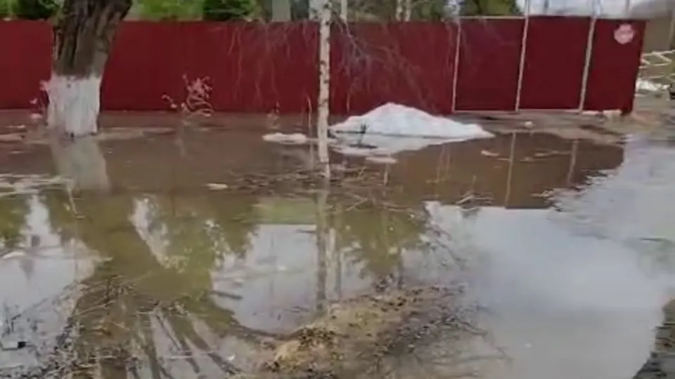 Фото: соцсети