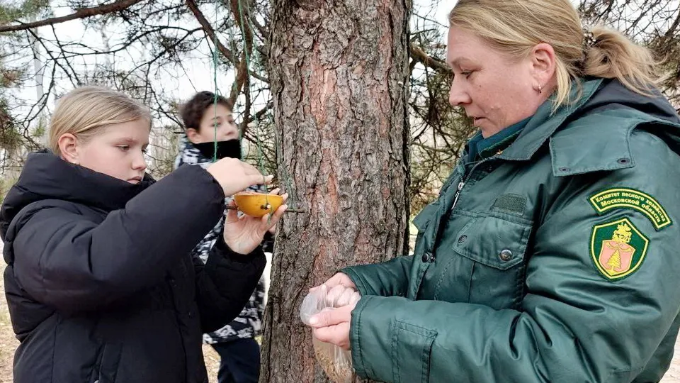 Фото: Комлесхоз МО