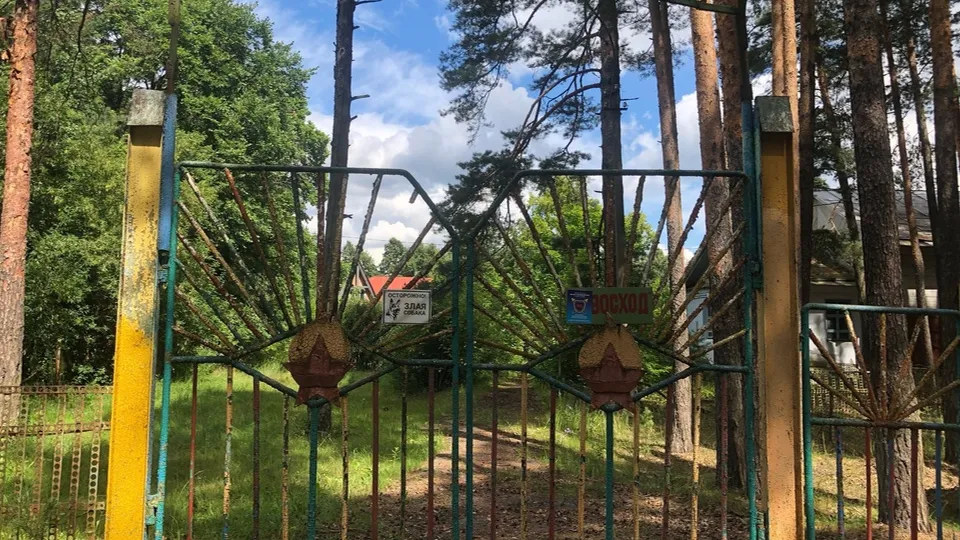 Фото: личный архив Елены Гостевой