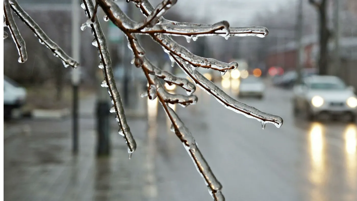 фото:.freepik.com