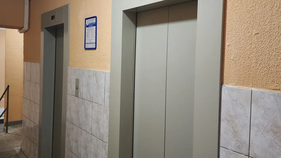 Фото: МедиаБанк Подмосковья/Роман Савельев