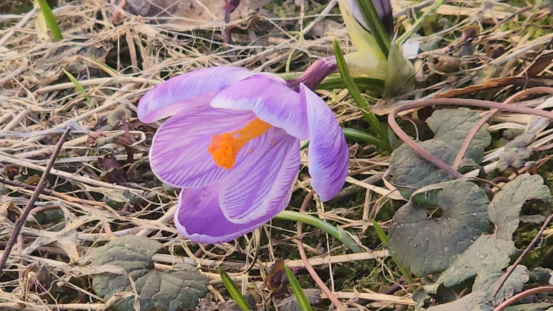 REGIONS/Роман Кутузов