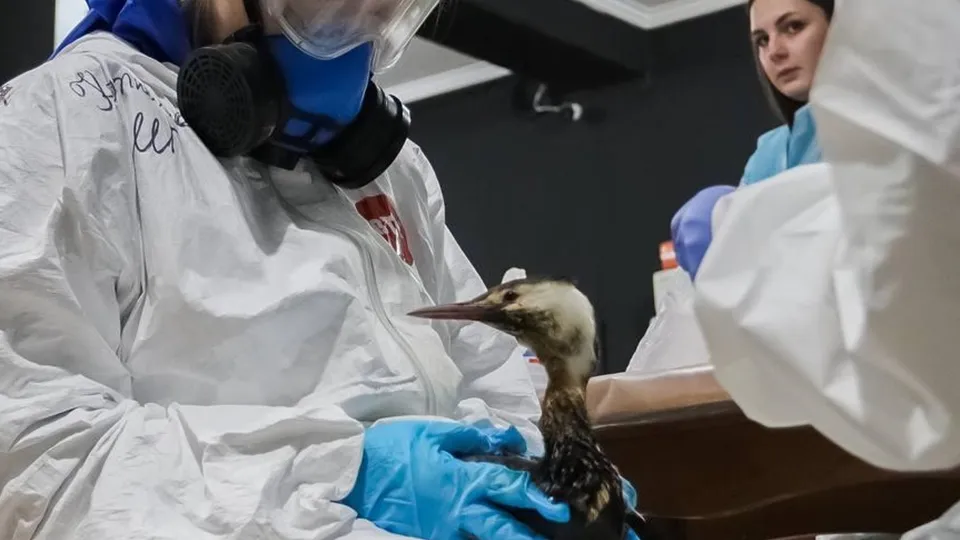 Фото: пресс-служба администрации г.о. Серпухов