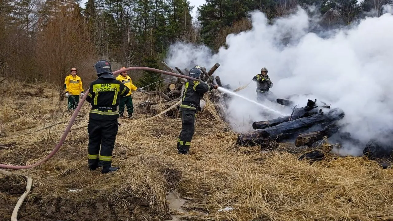 Фото: ГКУ МО «Мособлпожспас»