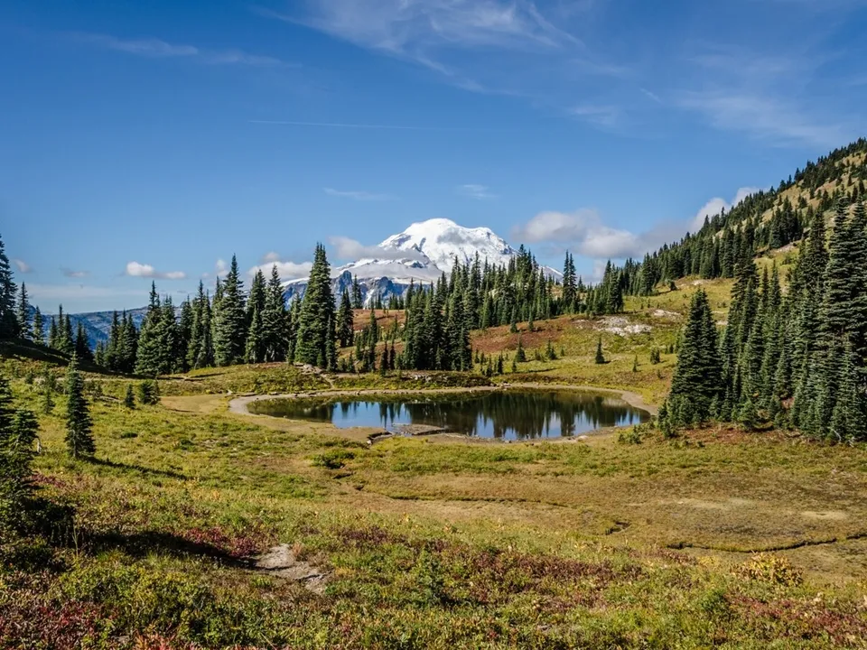 Фото: freepik.com