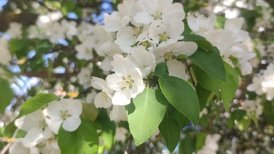 Фото: МедиаБанк Подмосковья/Арина Кузнецова