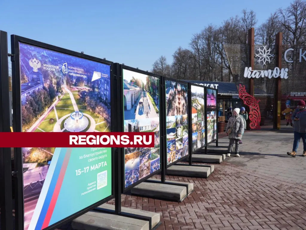 Фото: REGIONS/Дмитрий Зайчиков